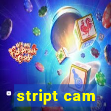 stript cam